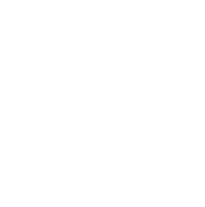 tripadvisor transparent logo