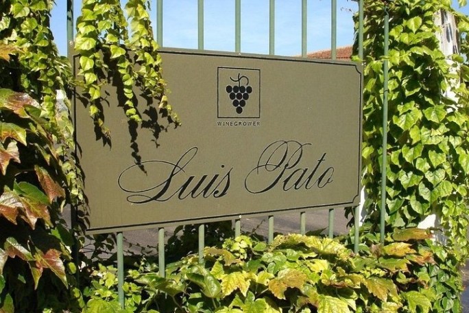 a sign on the side of a banana tree