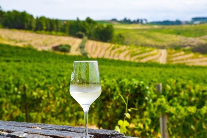 a glass of wine sitting on top of a grass covered field