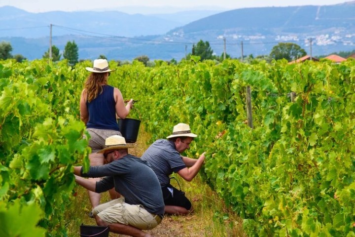 a man sitting in a garden