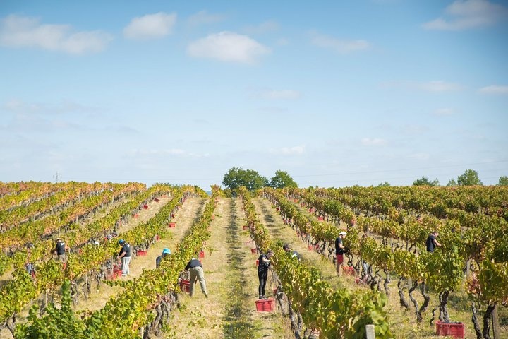 a group of people in a field