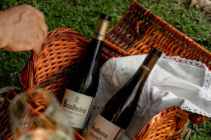 a sandwich sitting on top of a grass covered field