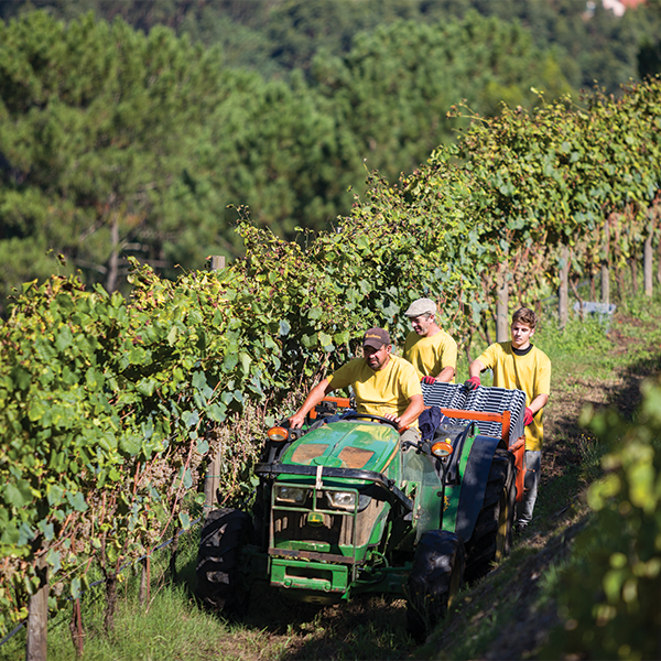 a group of people riding on the back of a truck