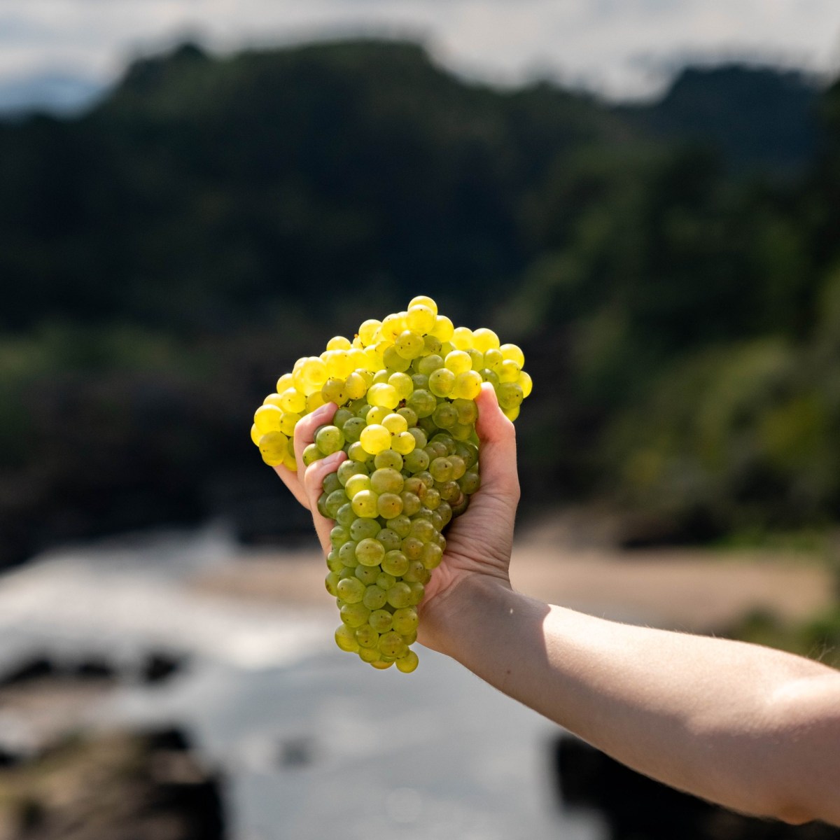 a close up of a hand