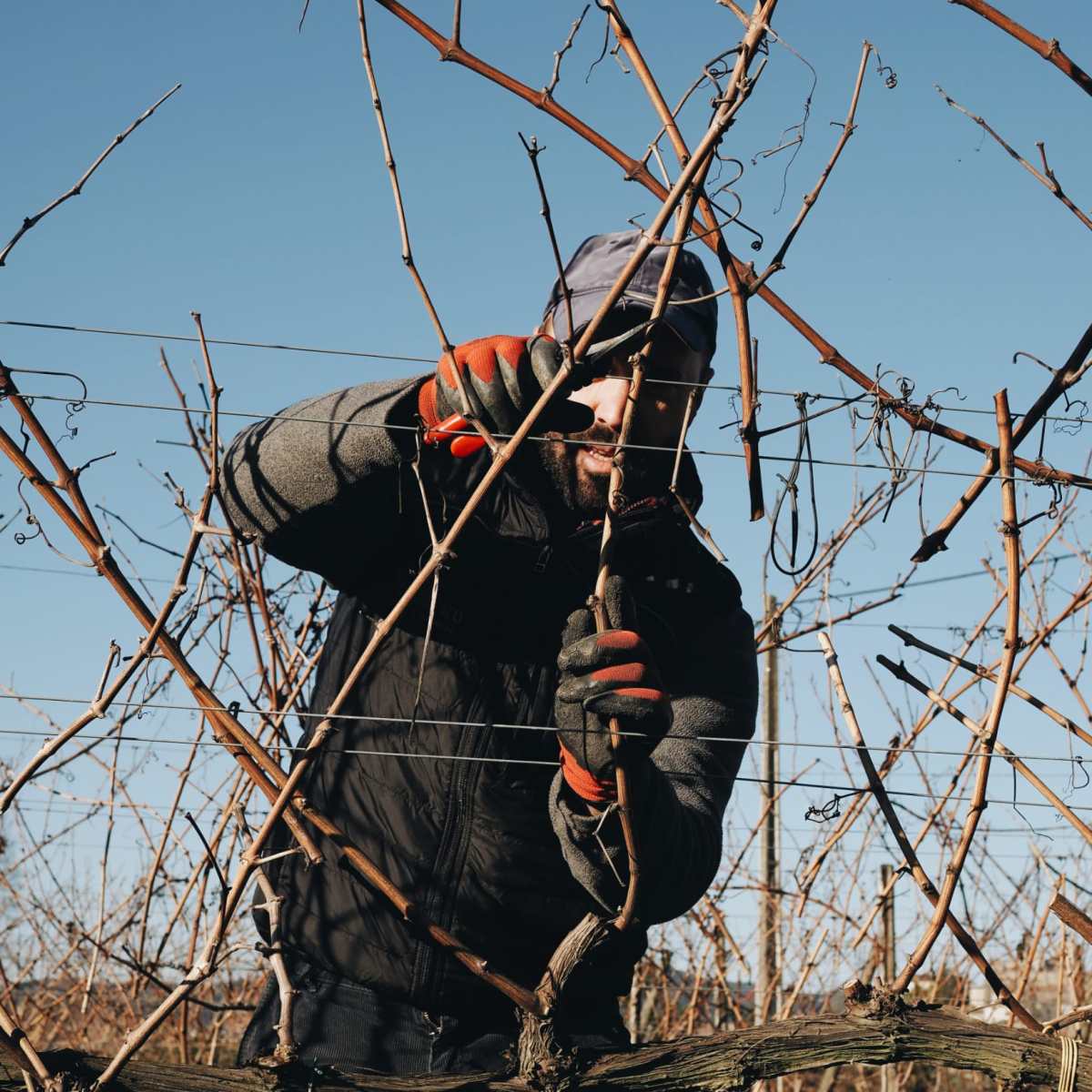 a person sitting on a wire