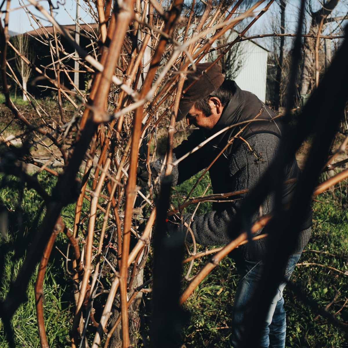 a person standing next to a tree