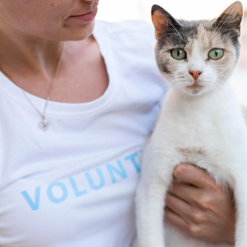 a woman holding a cat