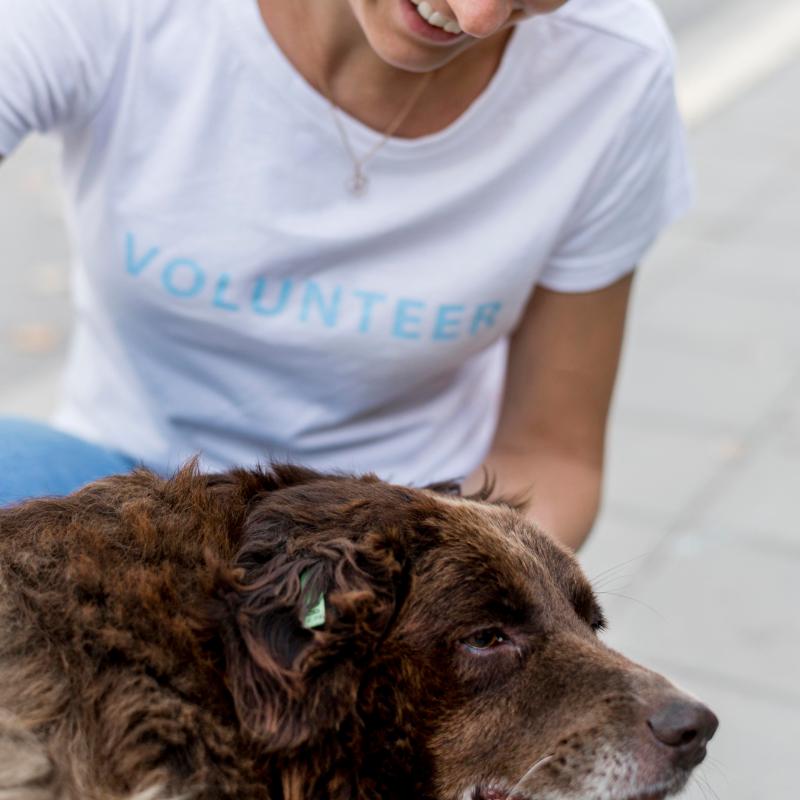 a person and a dog looking at the camera